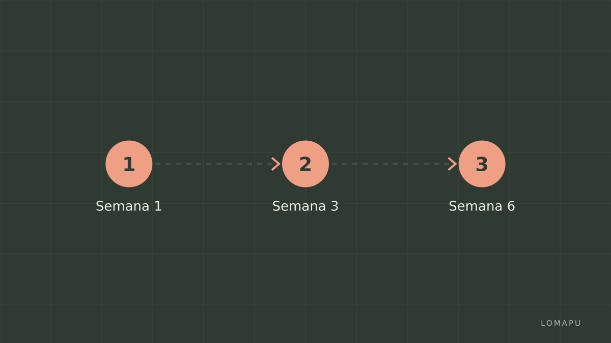 Plano de 6 semanas