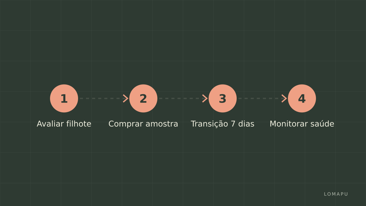 Etapas de transição e verificação