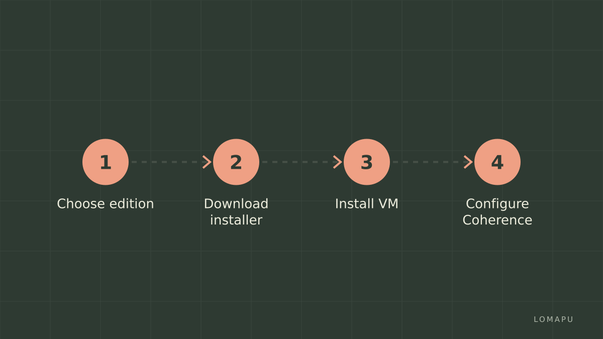 VM setup steps