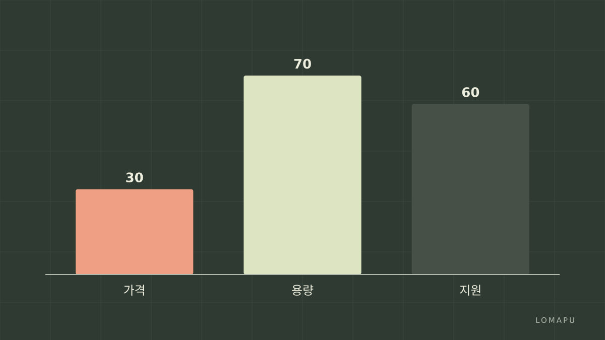 비교 핵심 항목