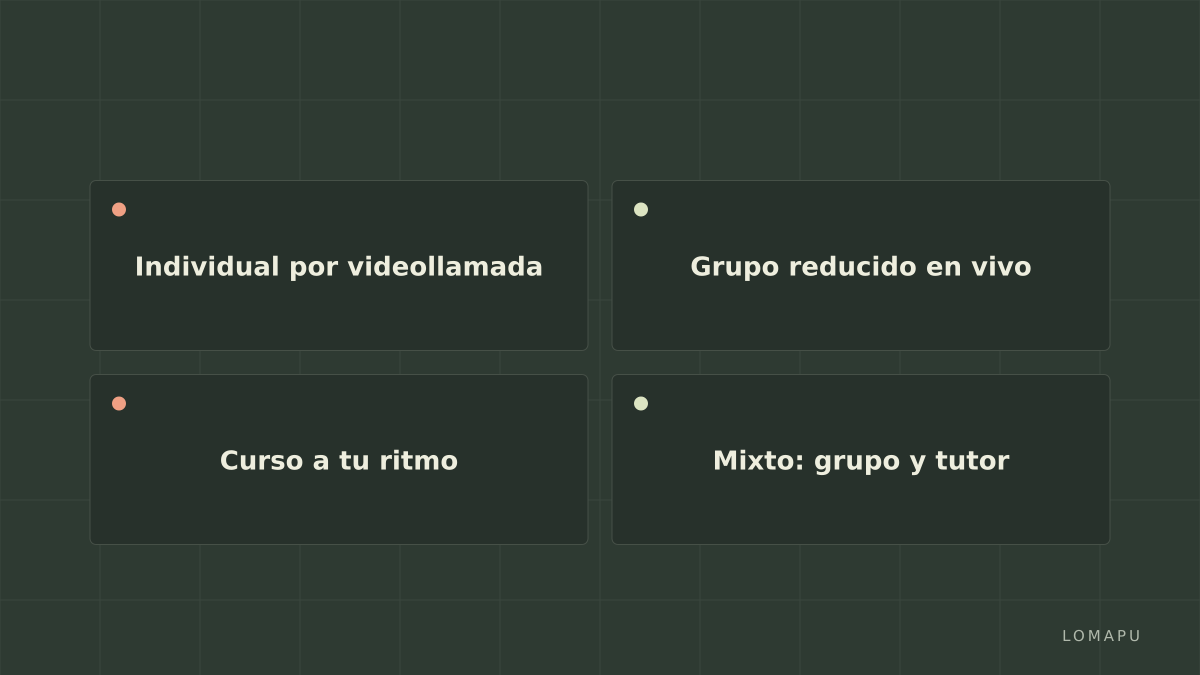 Formatos de clase de inglés online
